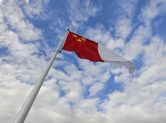 Vlag Menen