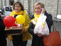 Valentijnsactie 2014 N-VA Menen