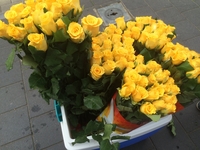 N-VA Menen zet de ultieme #Helfies in de bloemetjes