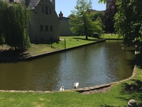 Ontmoeting met N-VA Ronse